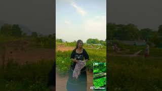 Prathana! #sunday #jesus #youtube #love #like #share #subscribe #shorts #views #reels #music #song 💟