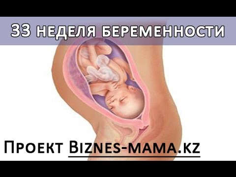 33 неделя беременности