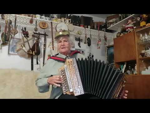 Sedlejte sedlejte -