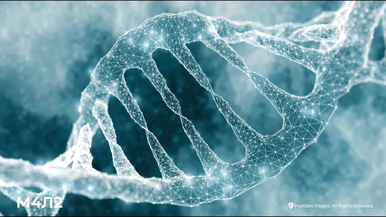 Индивидуальный подбор продукции