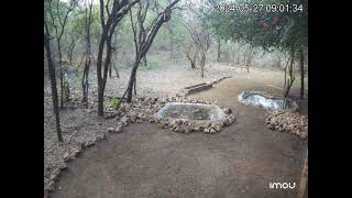 2024-05-27 Backyard Time-lapse