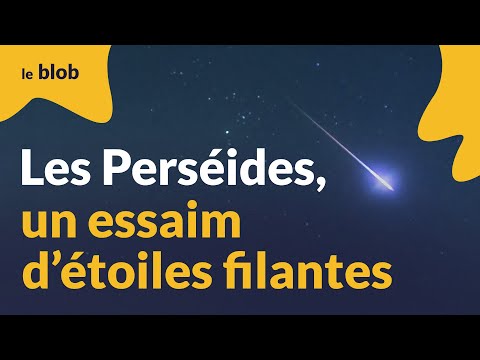 Vidéo: Capture Vidéo Irréelle De La Pluie De Météorites Des Perséides