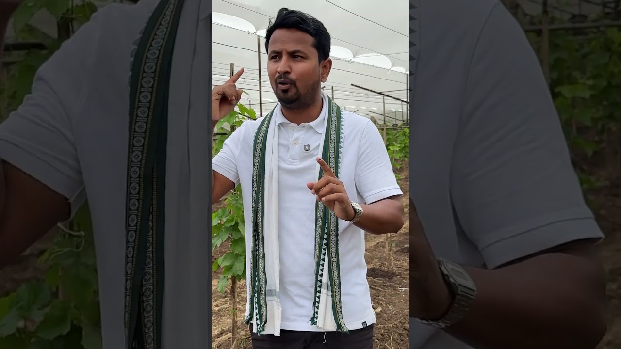 परेशानी अनेक, समाधान एक – Crop Net ➡️🛡️ 