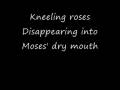 System of a down - B.Y.O.B (Lyrics)