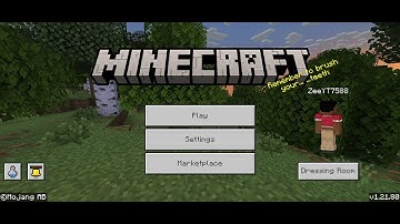 Minecraft 1.21.80 Skin and capes not loading