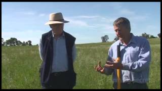 How to determine when to move your cattle on?