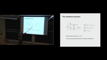 Colloquium Apr 18, 2019 --  ORGaNICs: A Unifying Theoretical Framework for Neural Dynamics