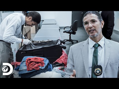 Vídeo: Onde está a retirada de bagagem na BWI?