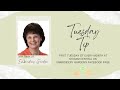 Tuesday Tip with Embroidery Garden February