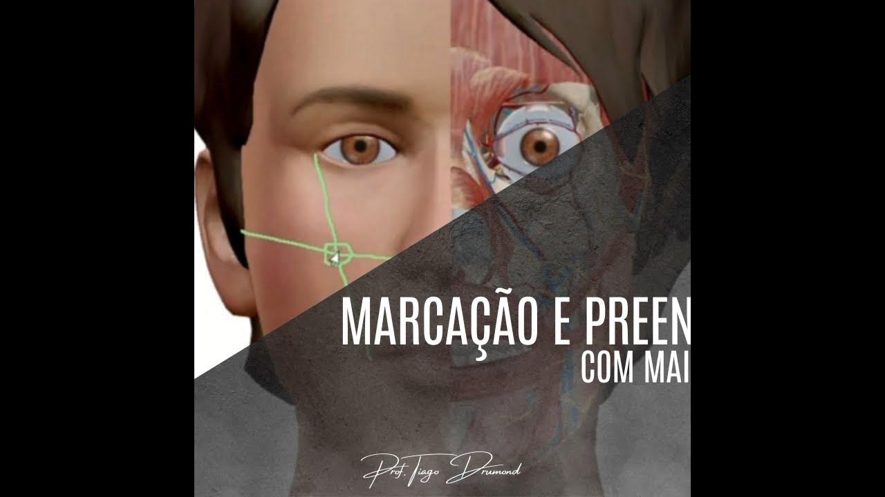 CK3 Marcação e preenchimento com maior segurança YouTube