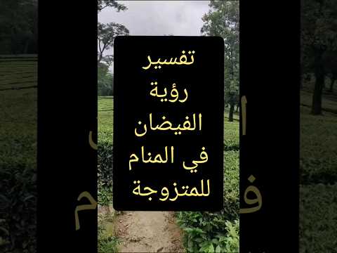 تفسير رؤية الفيضان في المنام للمتزوجة رؤي حلمي فيضان فيضانات الفيضانات حلم فيضانات ليبيا