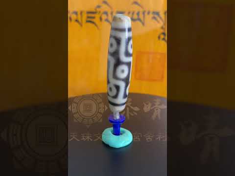 頂級黑白型二折線九眼天珠– 添晴天珠文玩龍宮舍利