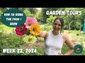 Plants growing a foot per week an exciting time of year garden tour week 22 2024