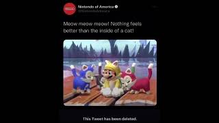 No commentary, just this deleted Nintendo of America Tweet