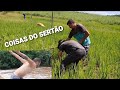 LAVOURA DE ARROZ E BANHO DE BARRAGEM COM JUNINHO E SEU PAI