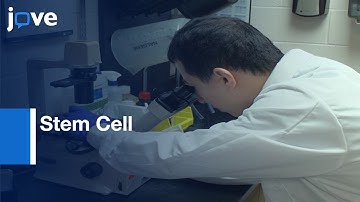 Stem Cell derived cells for Drug discovery | Protocol Preview