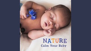Serenity Lullaby