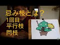 盆栽初心者向け基礎知識　忌み枝　1回目
