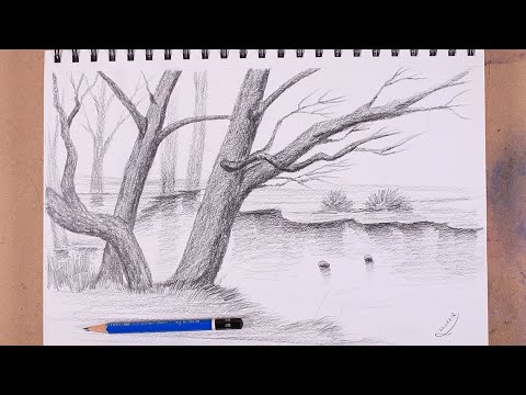 تعلم رسم الاشجار بالقلم الرصاص رسم واقعي بسيط جدا