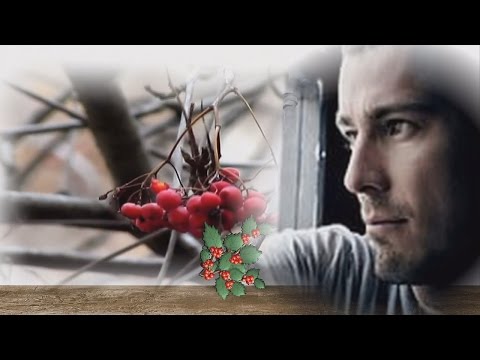 Владимир Захаров - Рябина