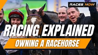 Owning A Racehorse | Horse Racing Explained