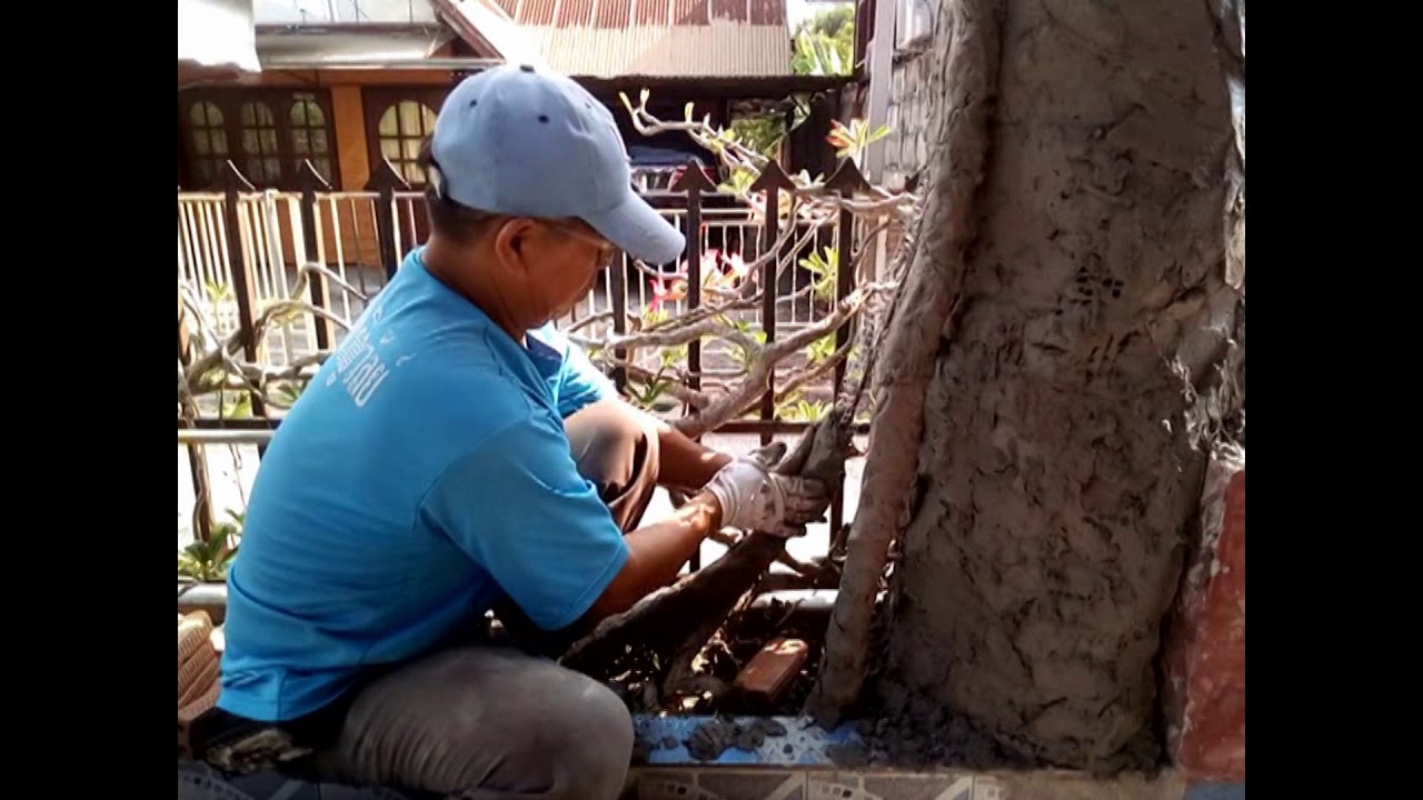 หินเทียม ต้นไม้เทียม  ปูนปั้น รากไทรกาฝาก