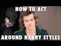 How to Act Around Harry Styles