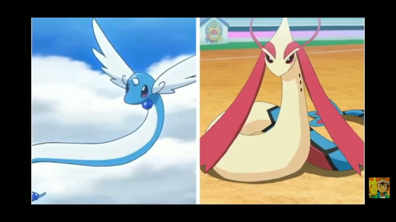 top 10 pokemon that look same