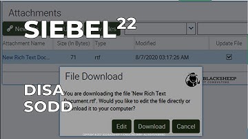 Siebel 22: DISA Installation Demonstration