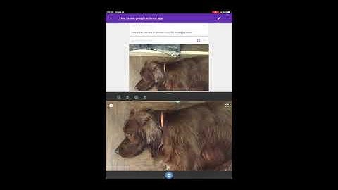 How to Use Google Science Journal
