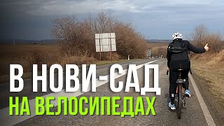 На велосипеде в Нови-Сад и курсы сербского языка