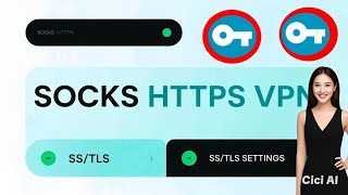 SOCKS HTTPS VPN ssl/tls settings for fast and secure online browsing screenshot 4