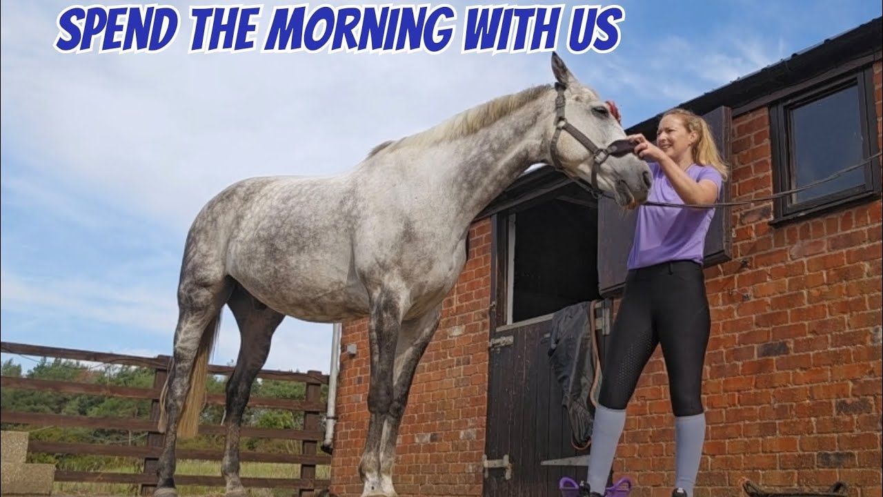 Spend the morning with us | Looking after 3 horses 🐎 