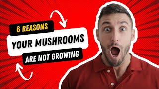 6 reasons your mushrooms are not growing