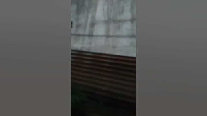 24 de mayo de 2022