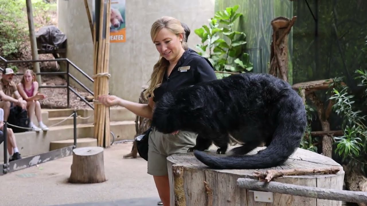 Nashville Zoo Wild Works Animal Show