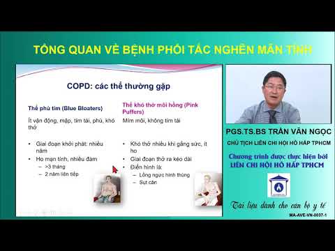 TỔNG QUAN VỀ BỆNH PHỔI TẮC NGHẼN MÃN TÍNH