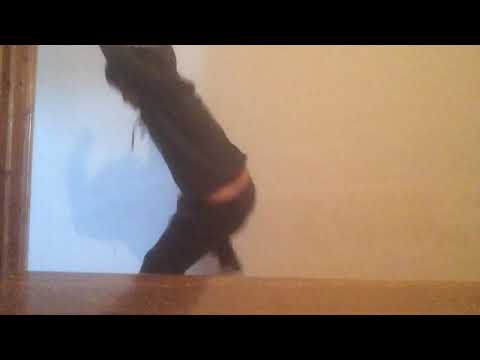 ბოდიშით გადაბრუნდა ქამერა!