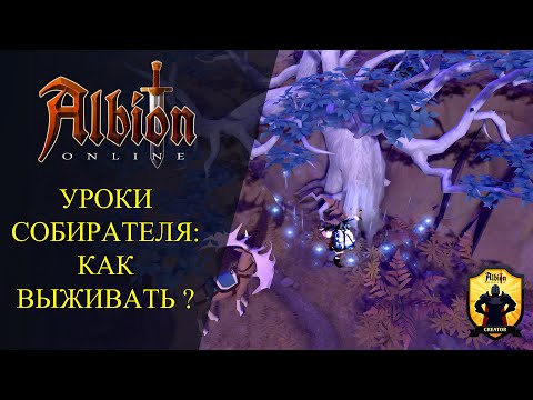 Видео: Albion online : ⛏ УРОКИ СОБИРАТЕЛЯ #1 - КАК ВЫЖИВАТЬ ? ГДЕ СОБИРАТЬ? КАК ВЫВОЗИТЬ РЕСУРСЫ?