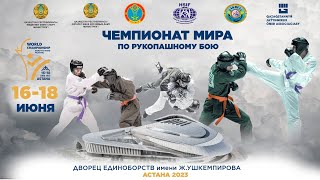 День 3. Финальные поединки. Чемпионат мира по рукопашному бою среди мужчин и женщин 2023.