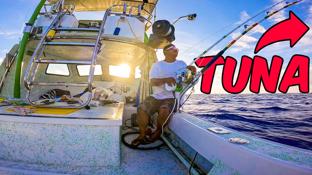 LIVE BAIT FISHING A Giant Schools of YELLOWFIN TUNA! YouTube