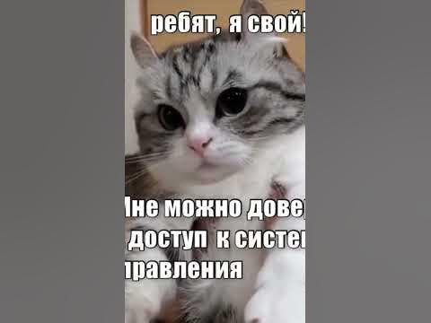 КОМАРУ - YouTube