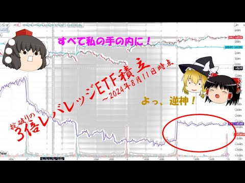 TMF積立はこれからどうなる ~2024/08/11時点の視点~