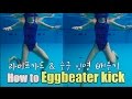 ENG) ??? / how to eggbeater kick / ?? ??? / ??