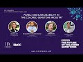 Ica congress 2023  panel esg sustainability in the colored gemstone industry