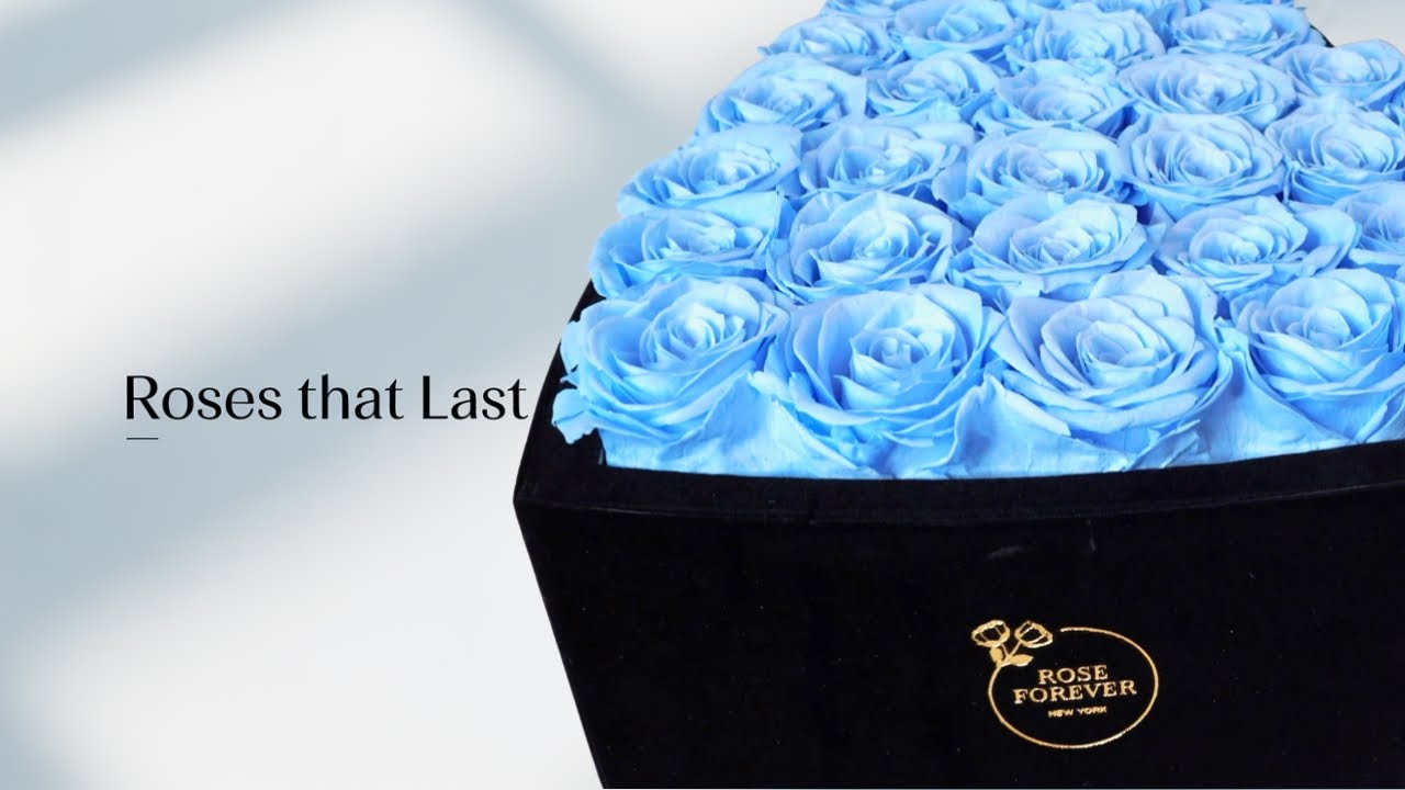 You Won't Believe How Long These Roses Last! - YouTube