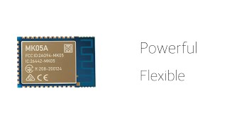 MK05 nRF52810 Bluetooth Module/ Bluetooth 5.0