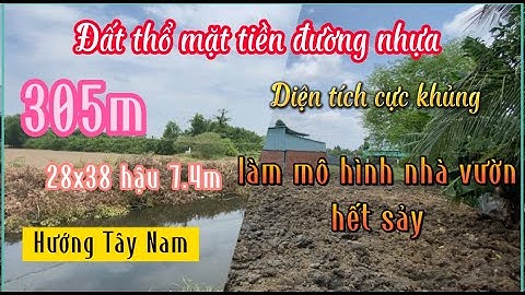 Đất Cần Giuộc Giá Rẻ| Diện tích quá khủng mà còn nằm mặt tiền đường nữa, làm mô hình nhà vườn ok