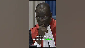 Mame Mandiaye Niang A Symbol Of Global Justice 