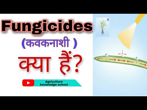 Fungicides क्या हैं। Classifications of Fungicides।Systemic Fungicide और